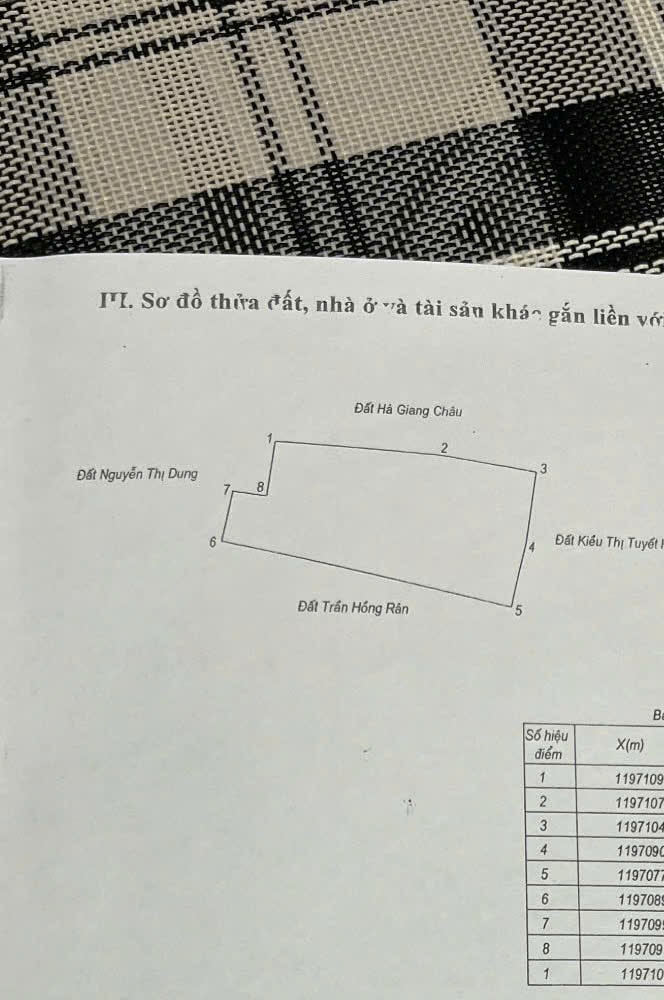 z7229778484071_2430848b8dd66f42e4b66e785e636ebb-min z7229778484071 2430848b8dd66f42e4b66e785e636ebb min